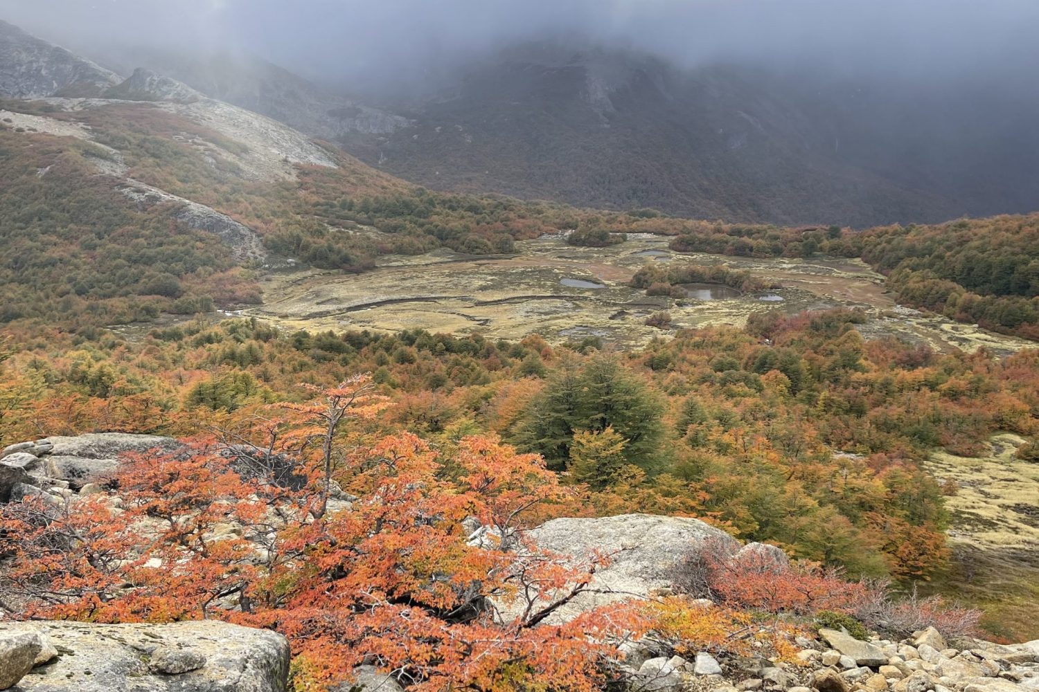 Travessia dos 05 lagos - Bariloche