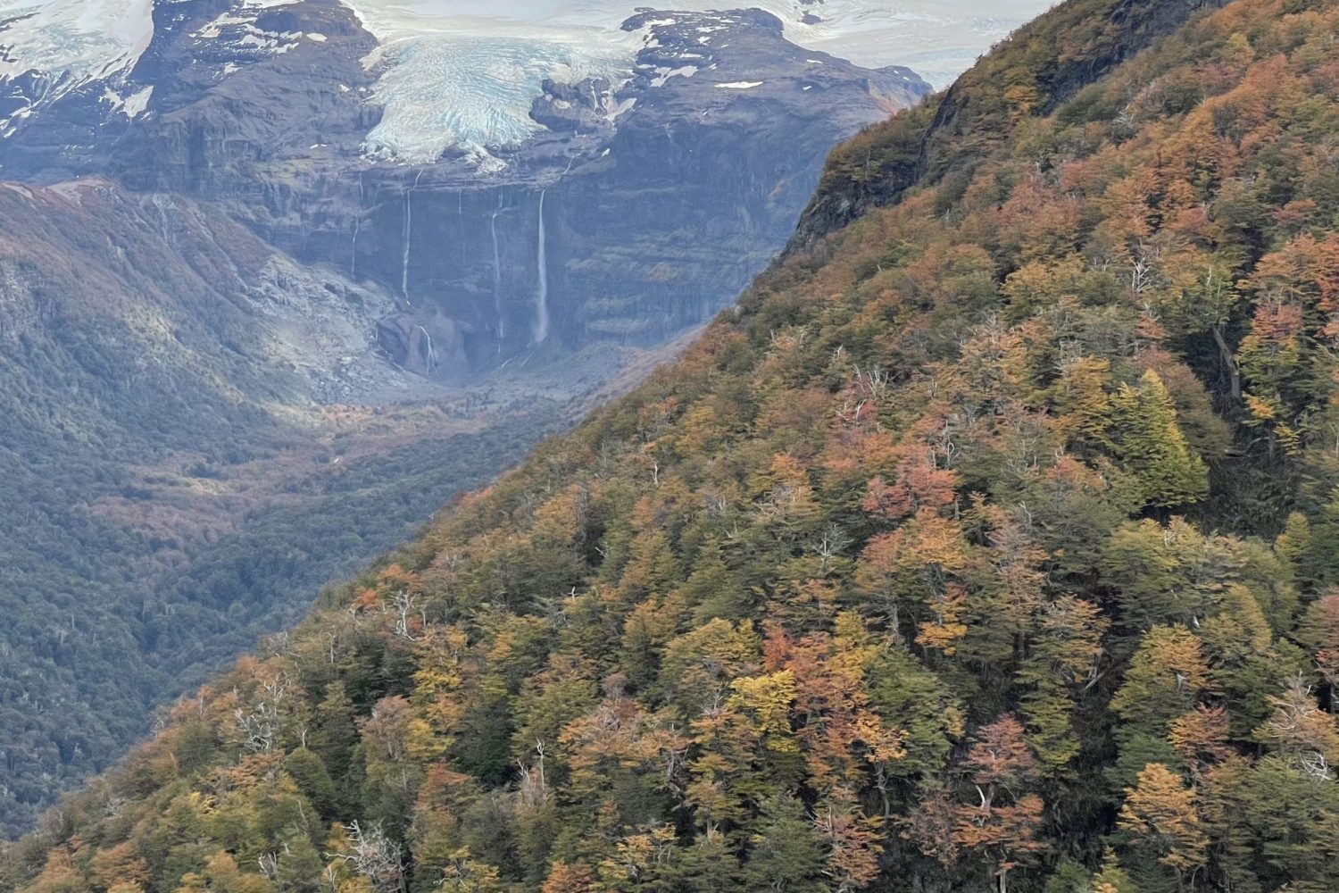 Travessia dos 05 lagos - Bariloche